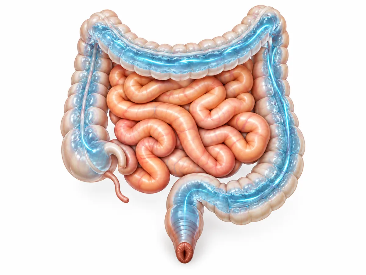 Illustrazione dell’acqua che scorre nel colon durante il lavaggio