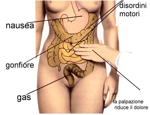 Illustrazione dell’addome
